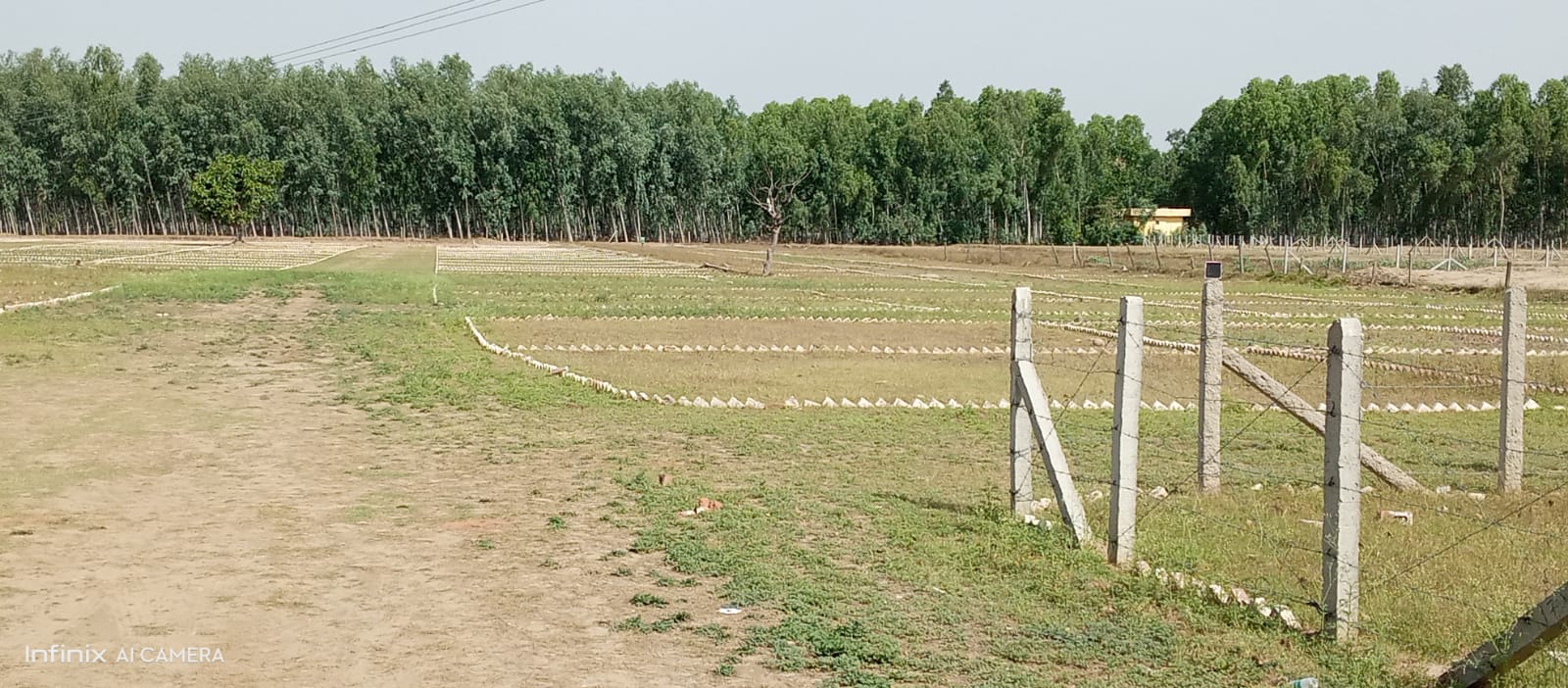 WhatsApp Image 2024-05-19 at 5.47.39 PM (1)